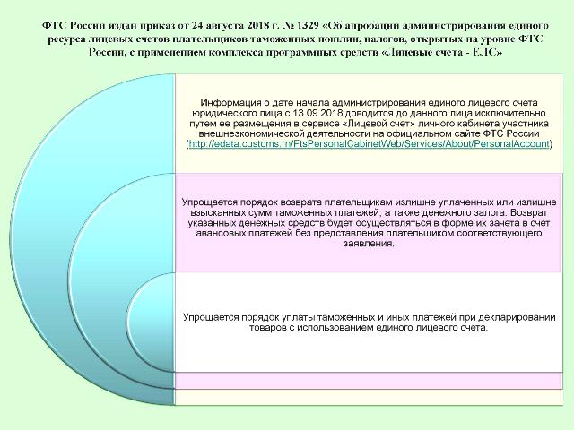 Отчет по практике: Структура таможенных органов РФ на примере Тульского таможенного терминала